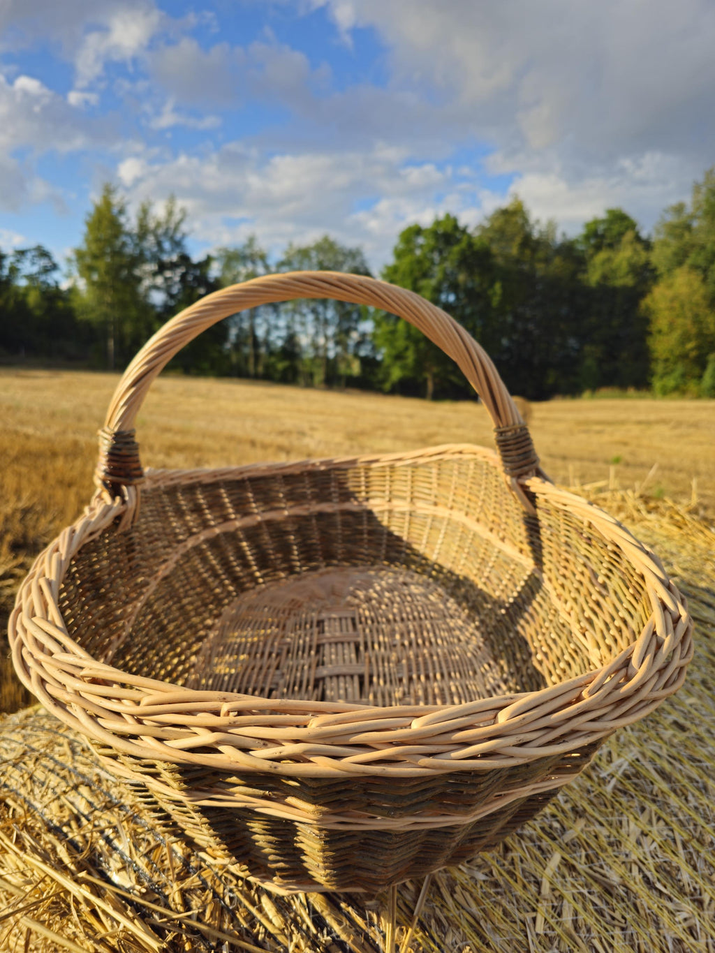 Extra Large Foraging & Rustic Trug Basket