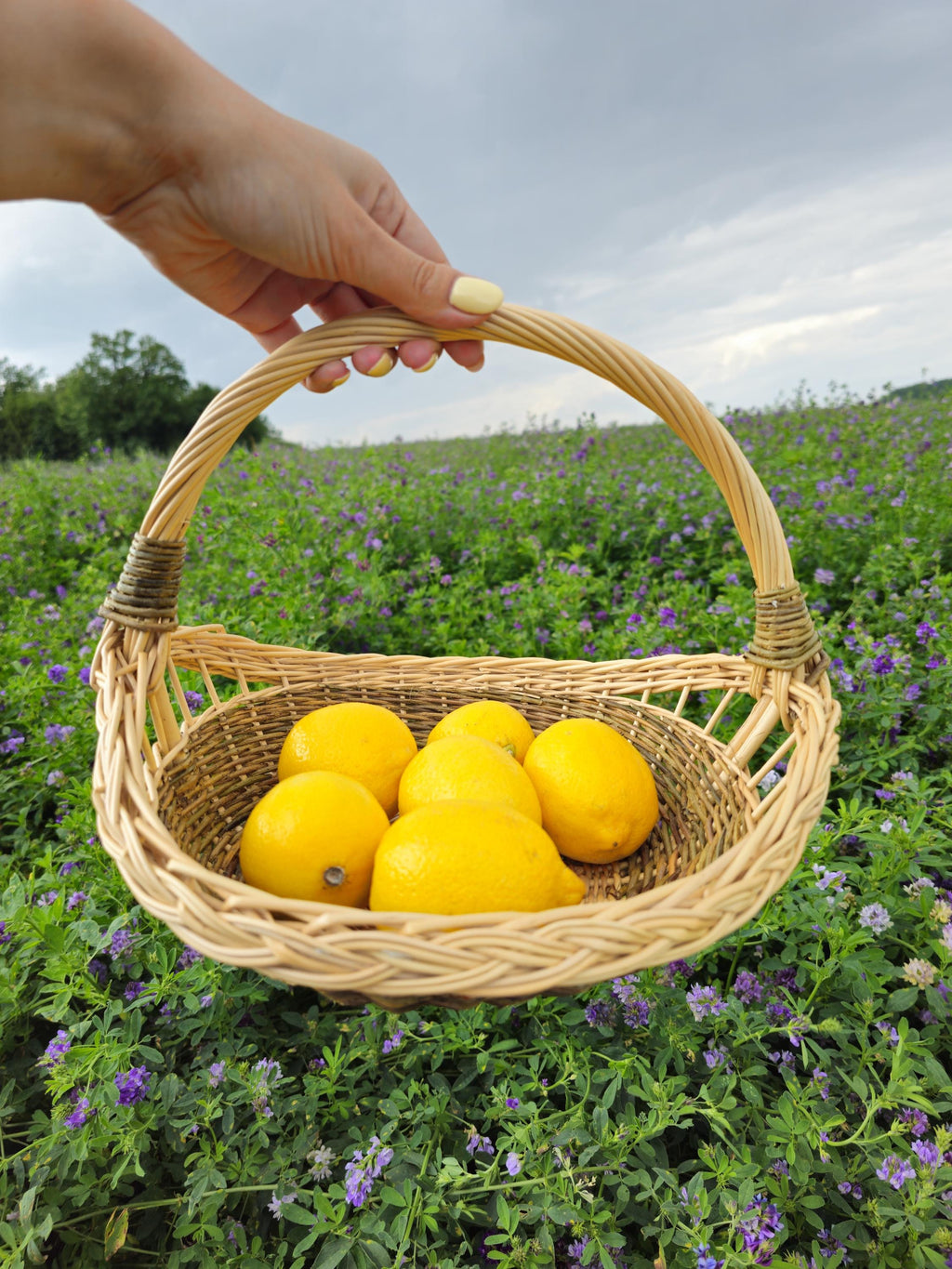 Handmade Wicker Trug Basket