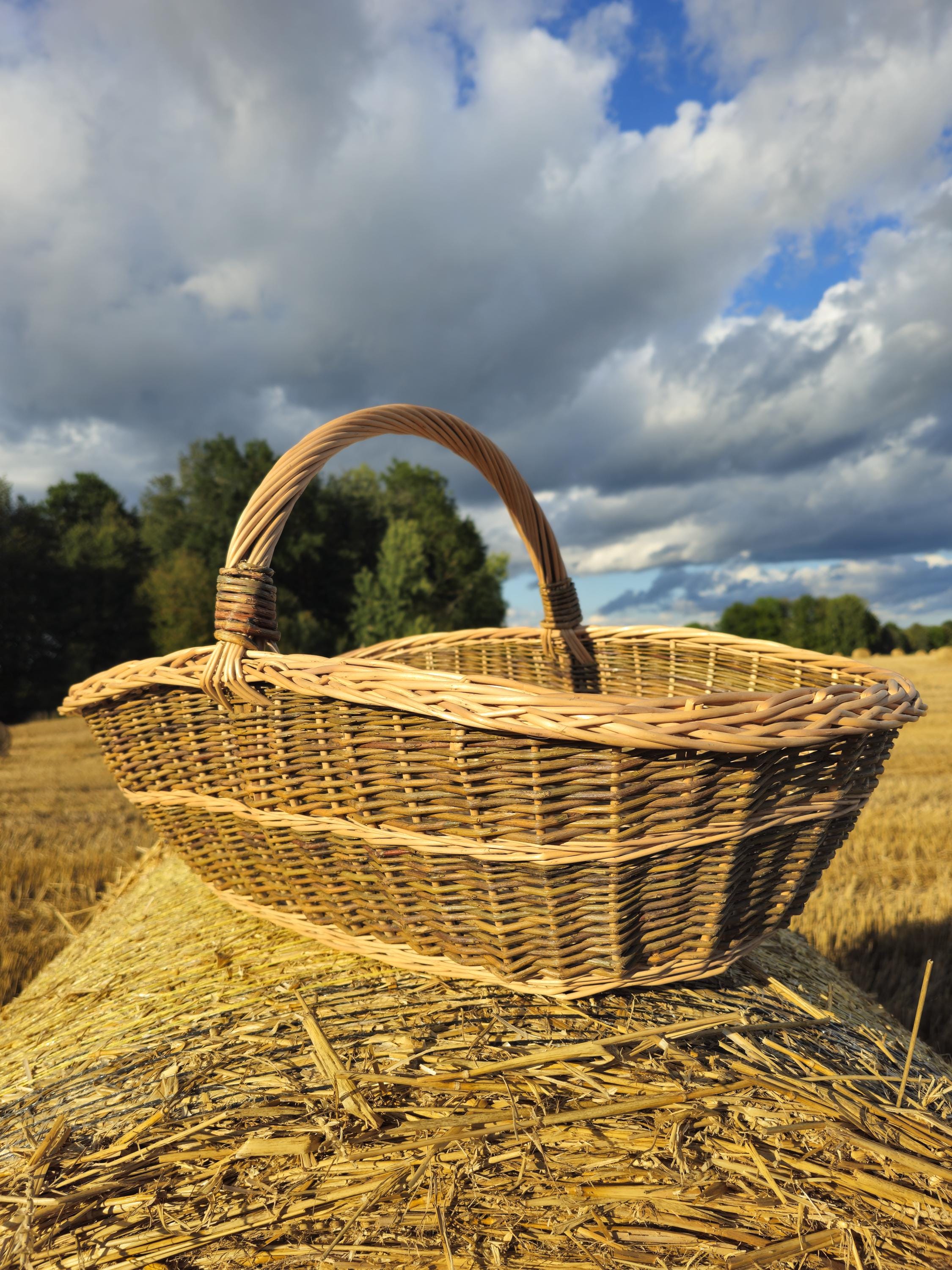 Extra Large Foraging & Rustic Trug Basket