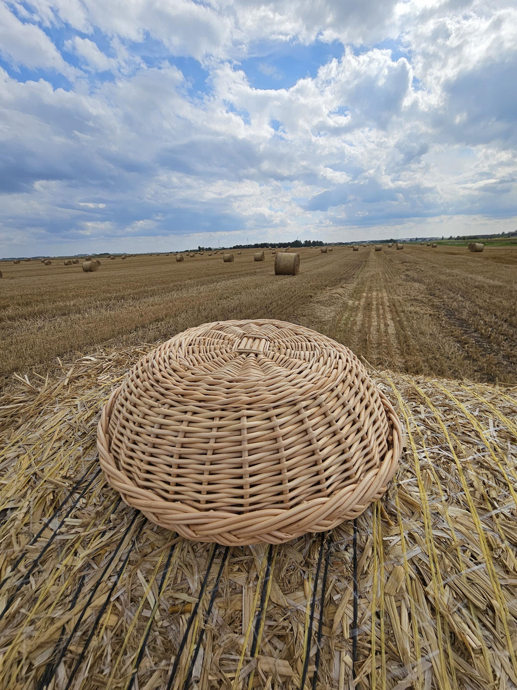 Rustic Wicker Plate