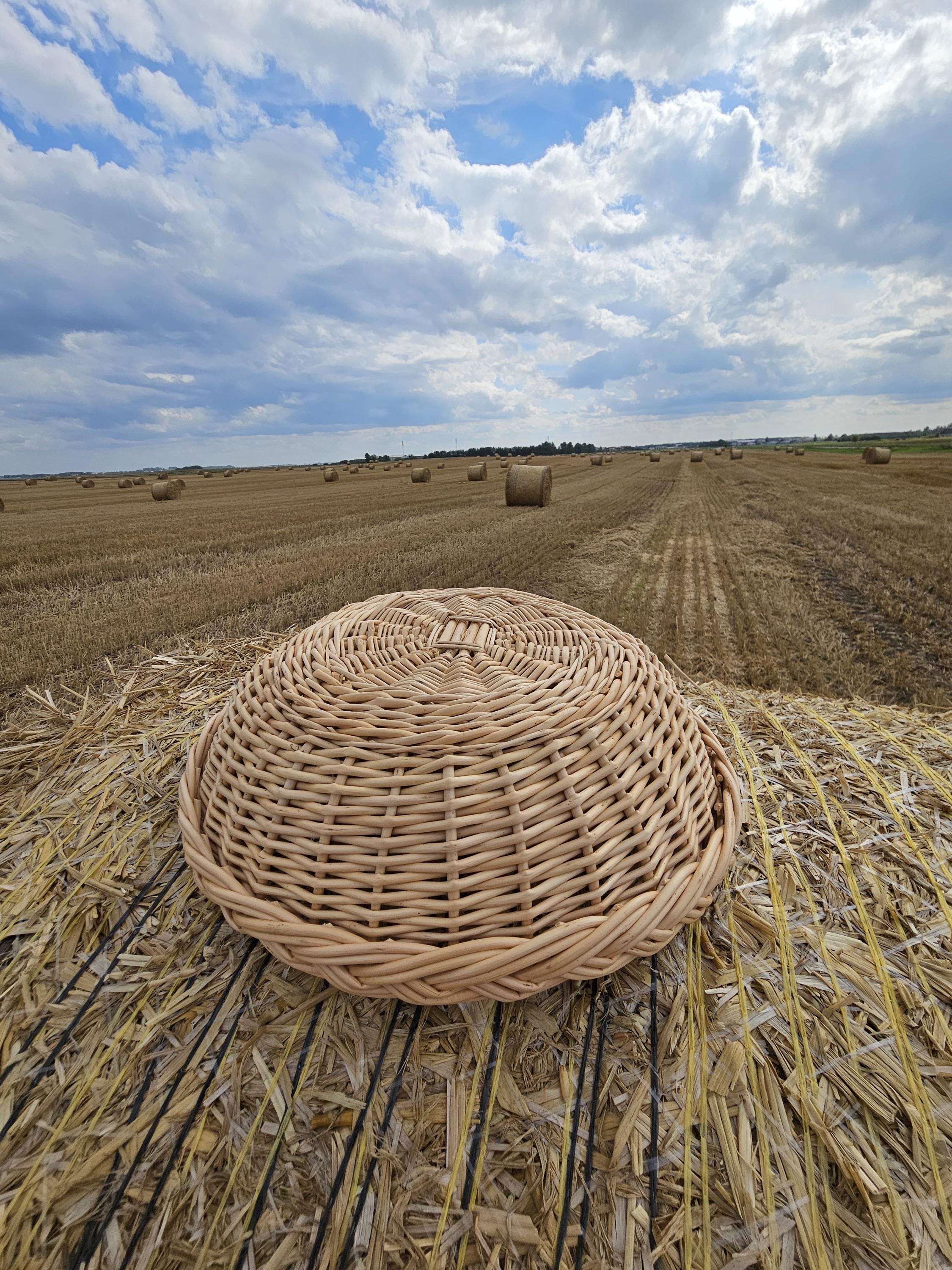 Rustic Wicker Plate