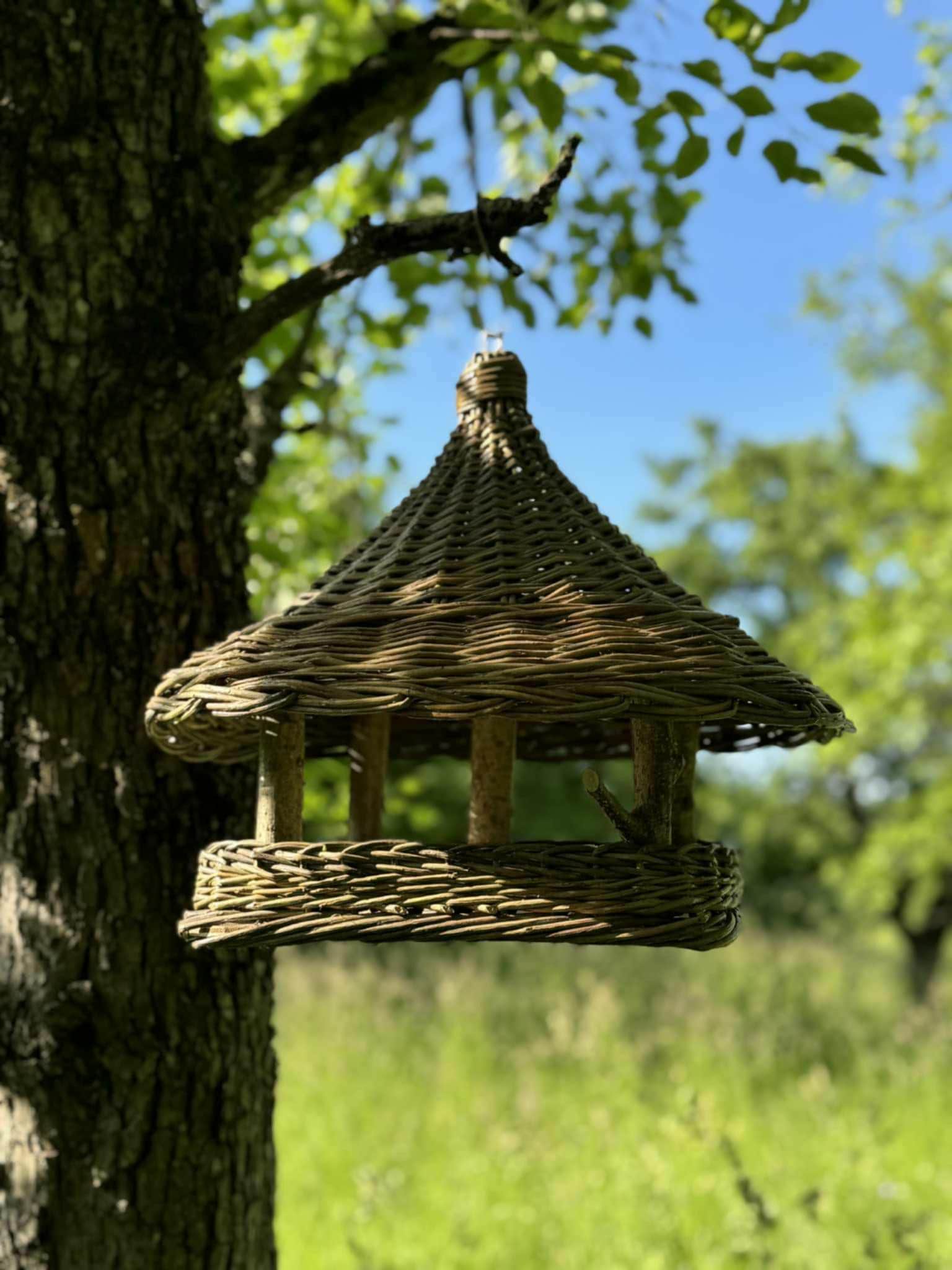 Woven bird feeder hanging from a tree branch with a natural background