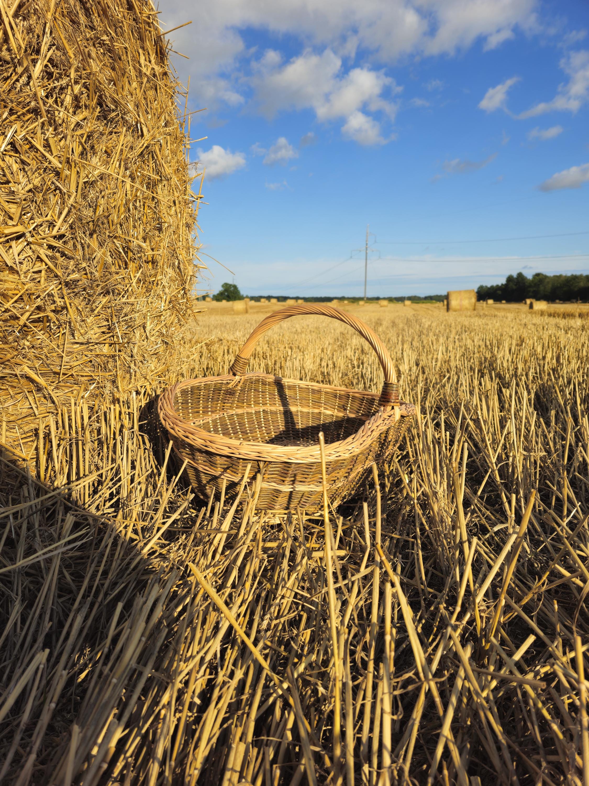 Extra Large Foraging & Rustic Trug Basket