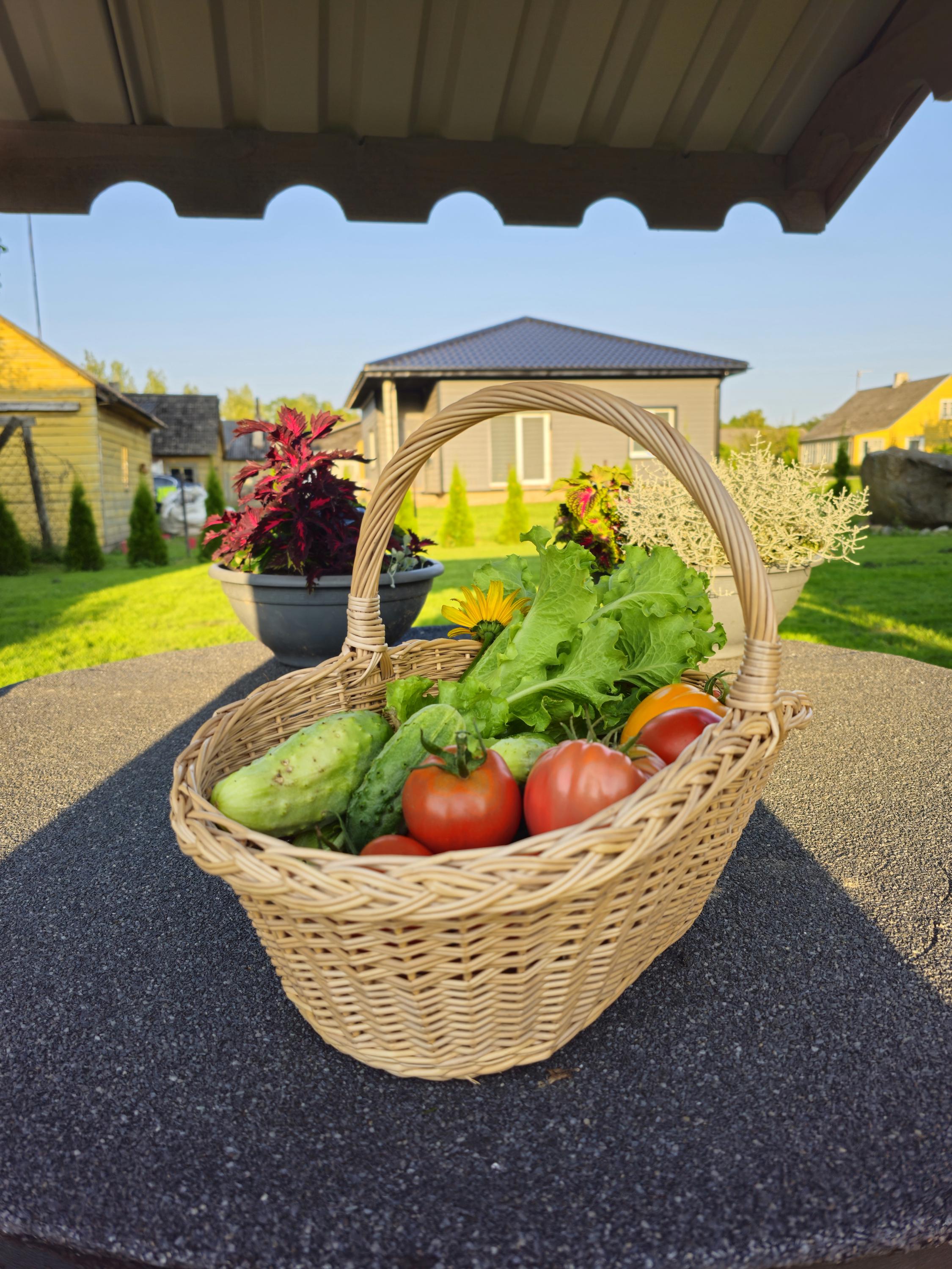 Handwoven Wicker Basket