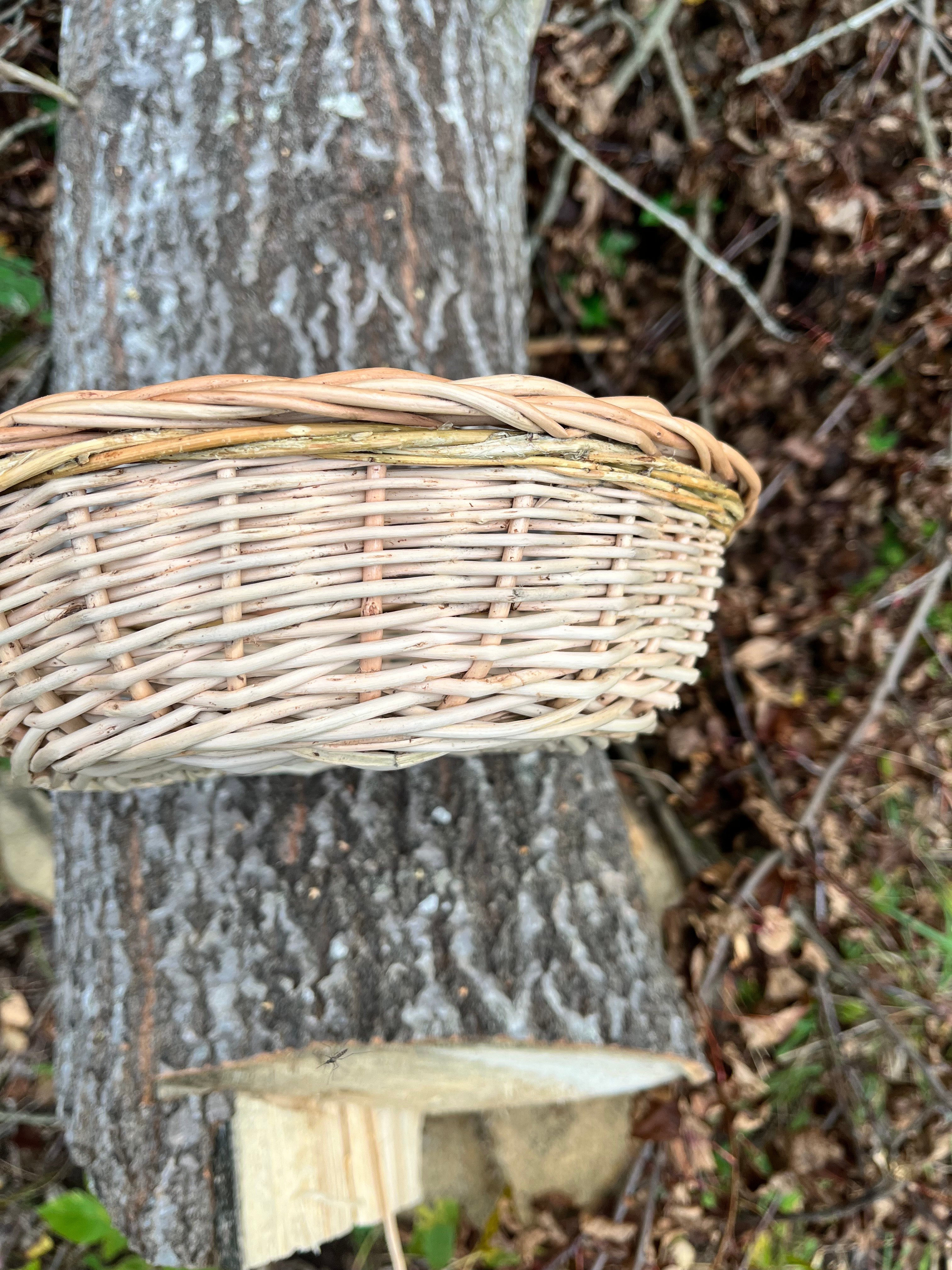 Rustic Bread Wicker Plate