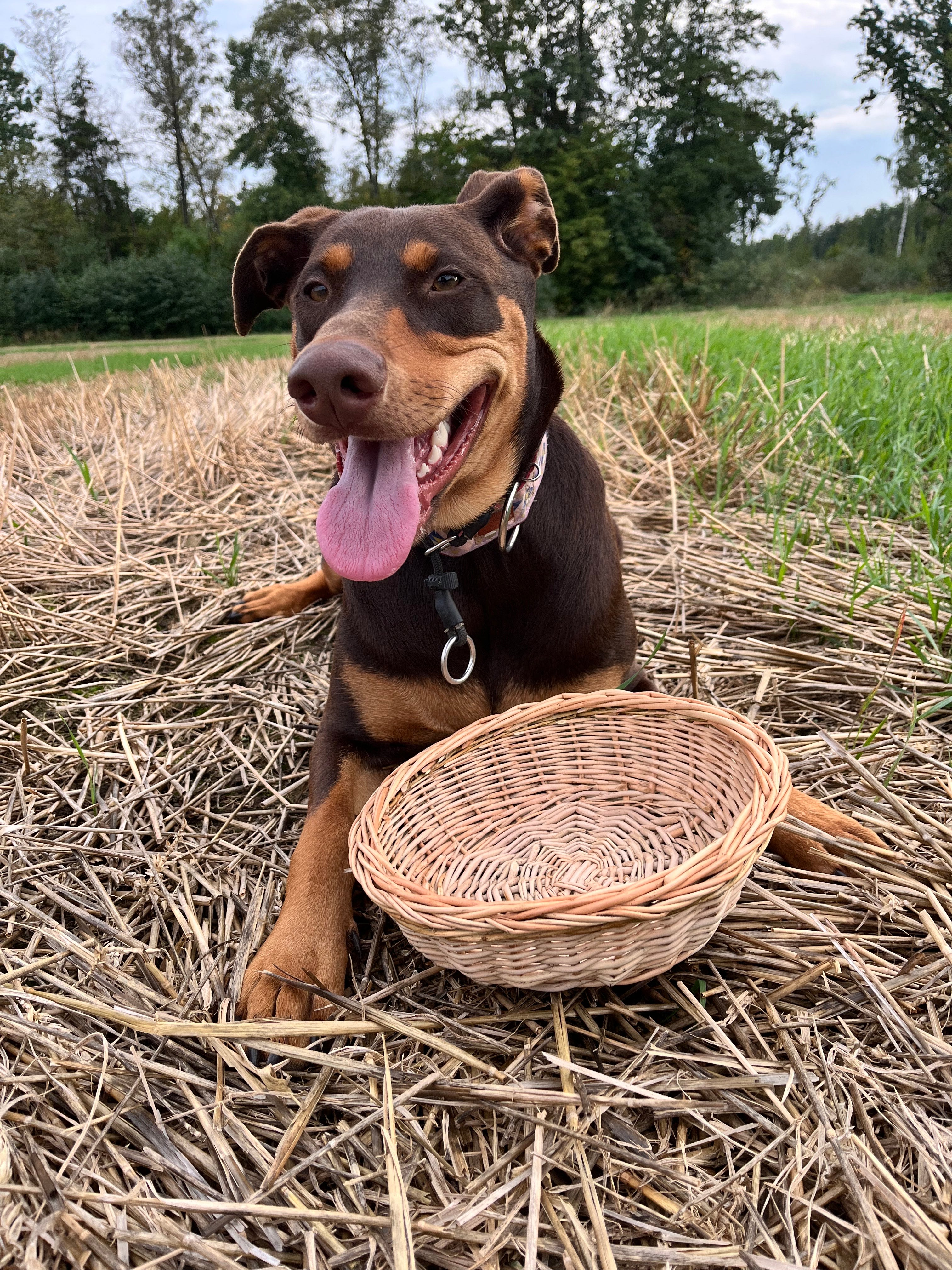 Rustic Bread Wicker Plate