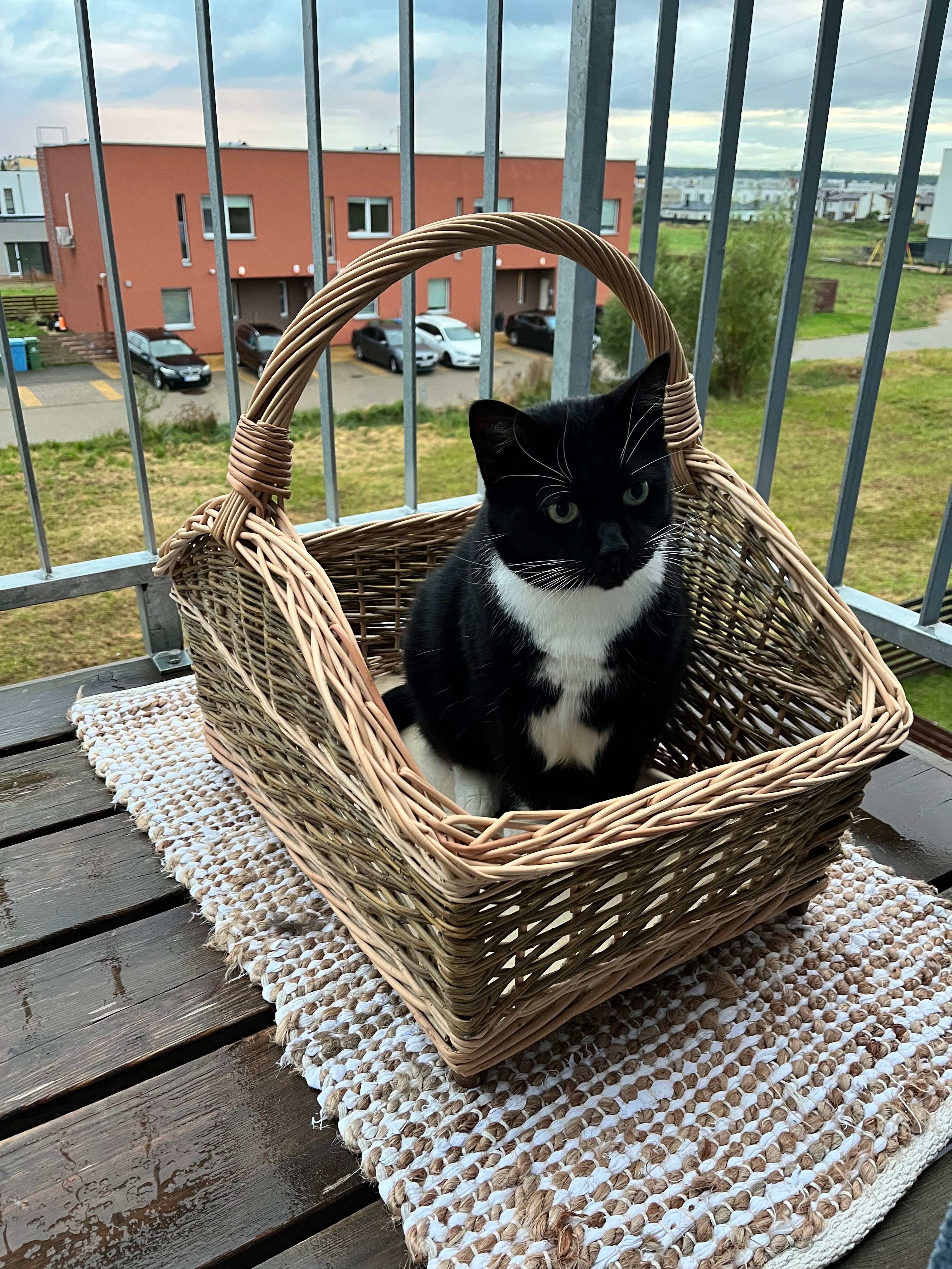 Large Handwoven Wicker Basket