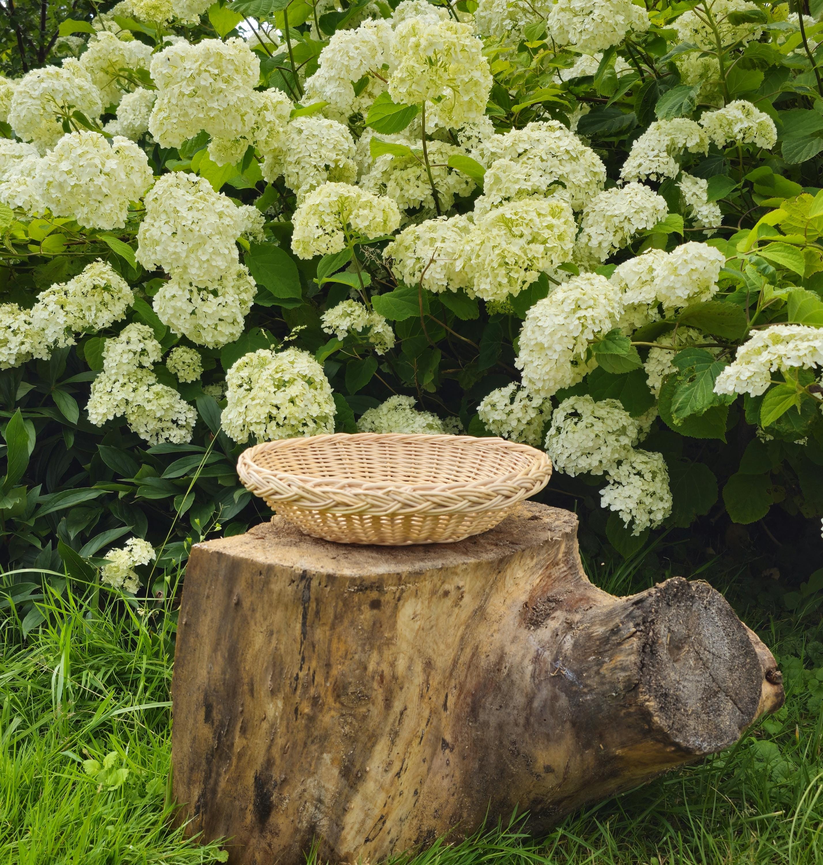 Rustic Wicker Plate