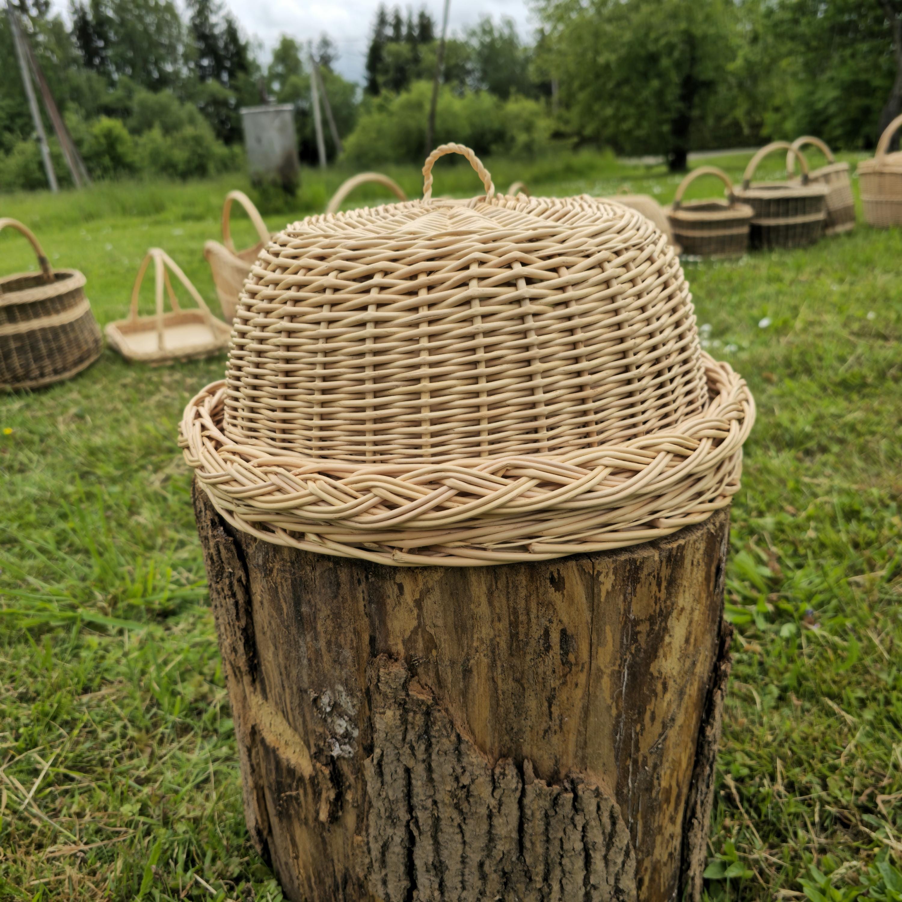Rustic Kitchen Cloche & Tray