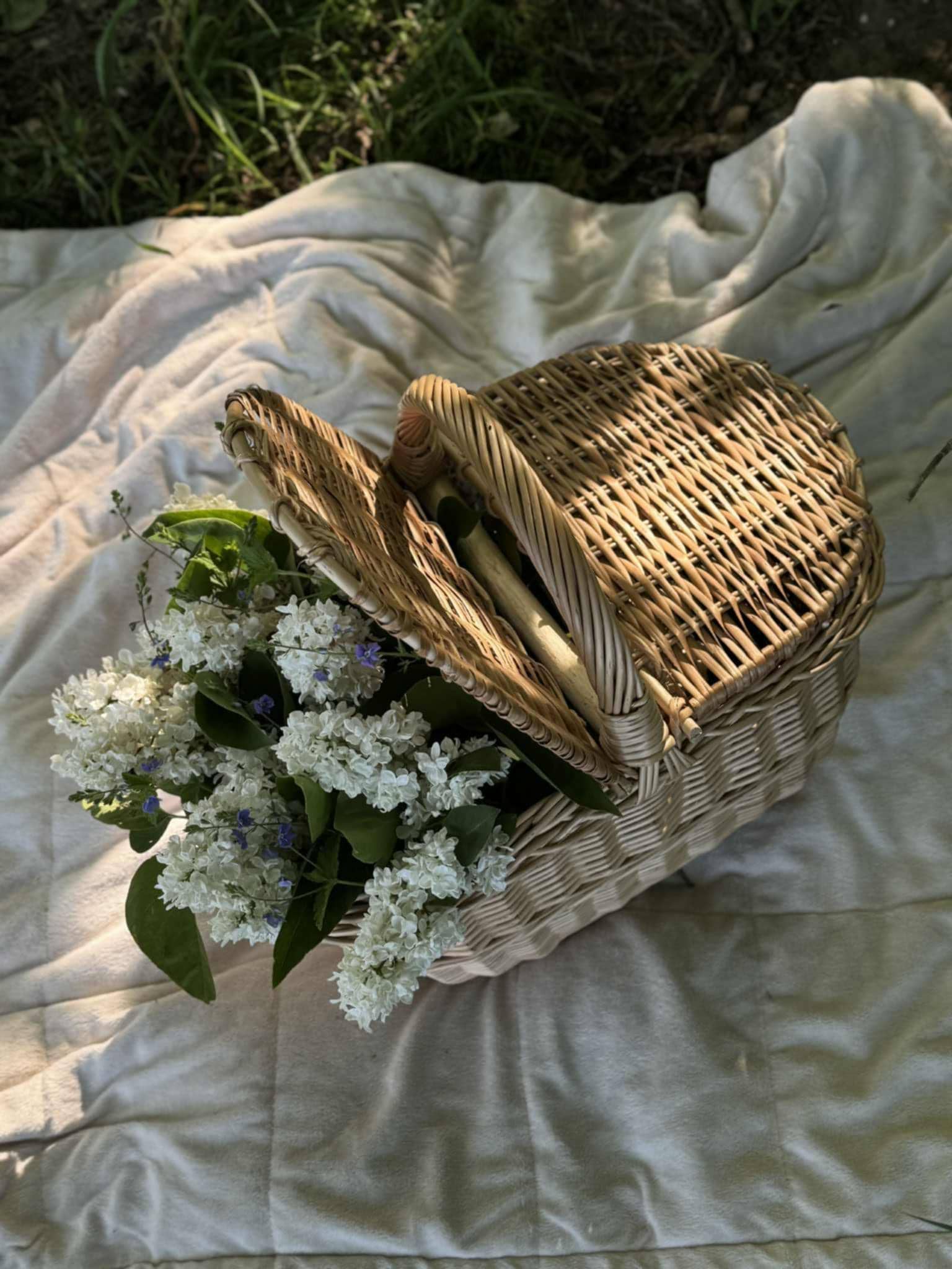 Large Wicker Picnic Basket
