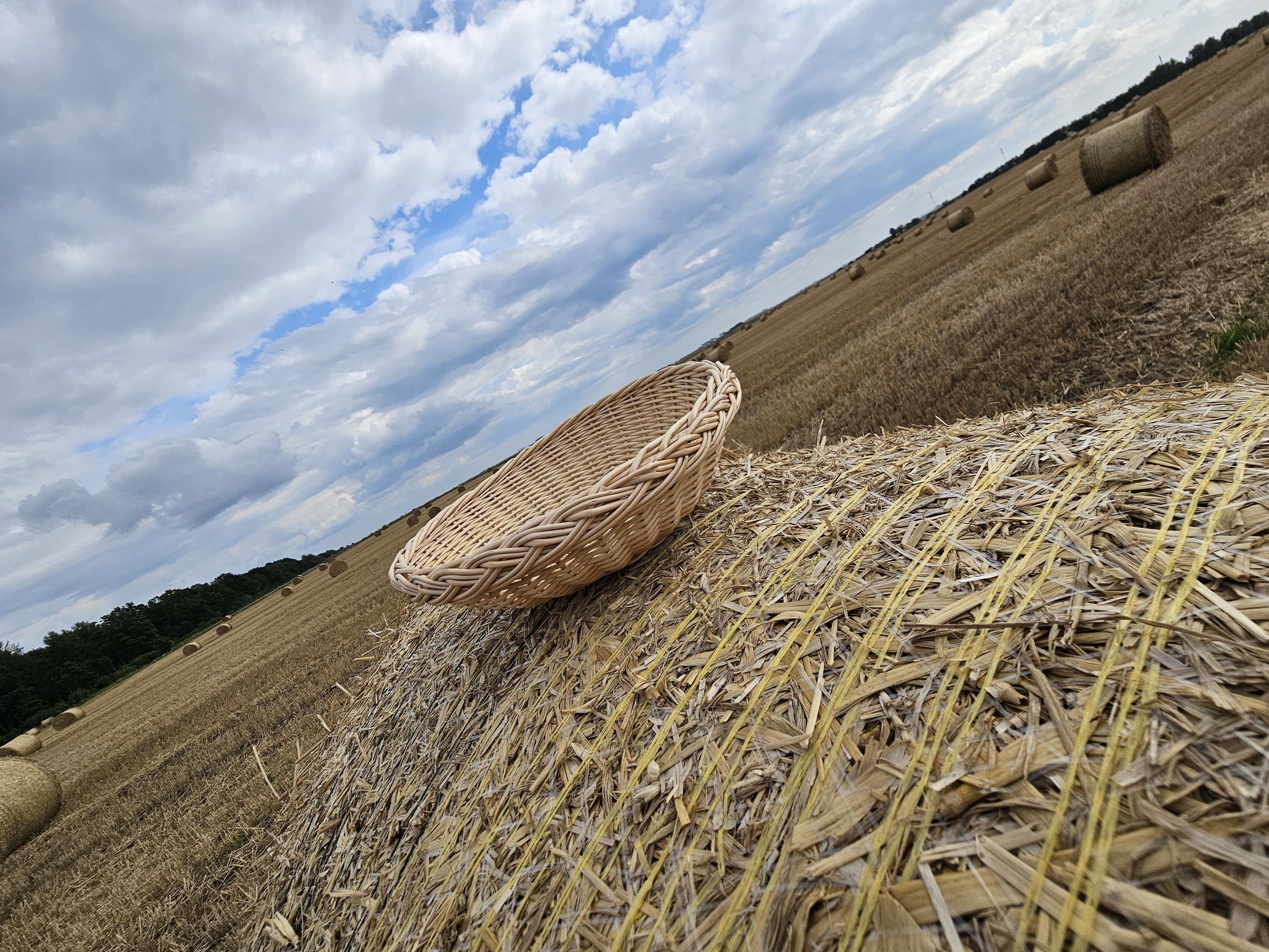 Rustic Wicker Plate