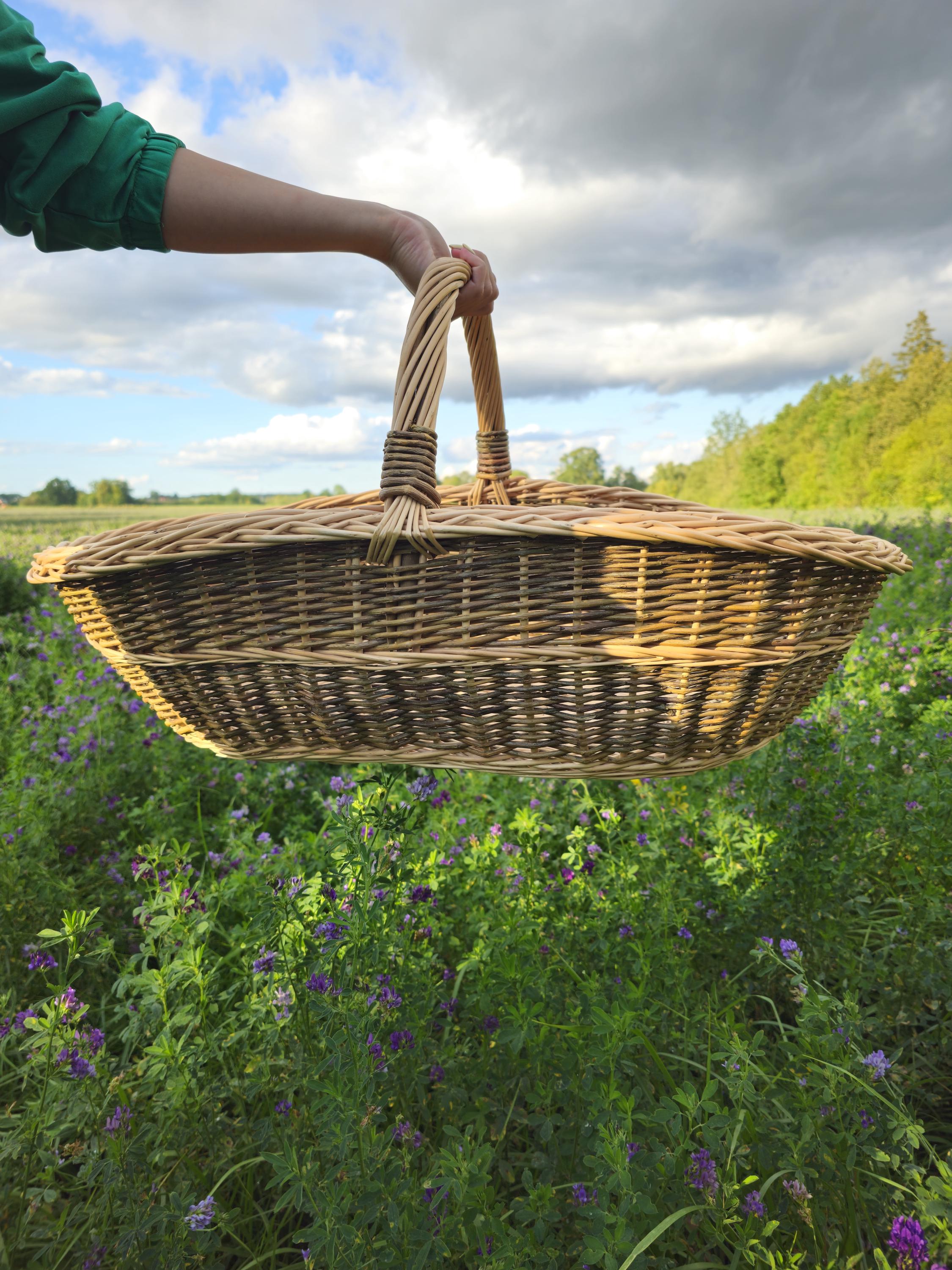 Extra Large Foraging & Rustic Trug Basket