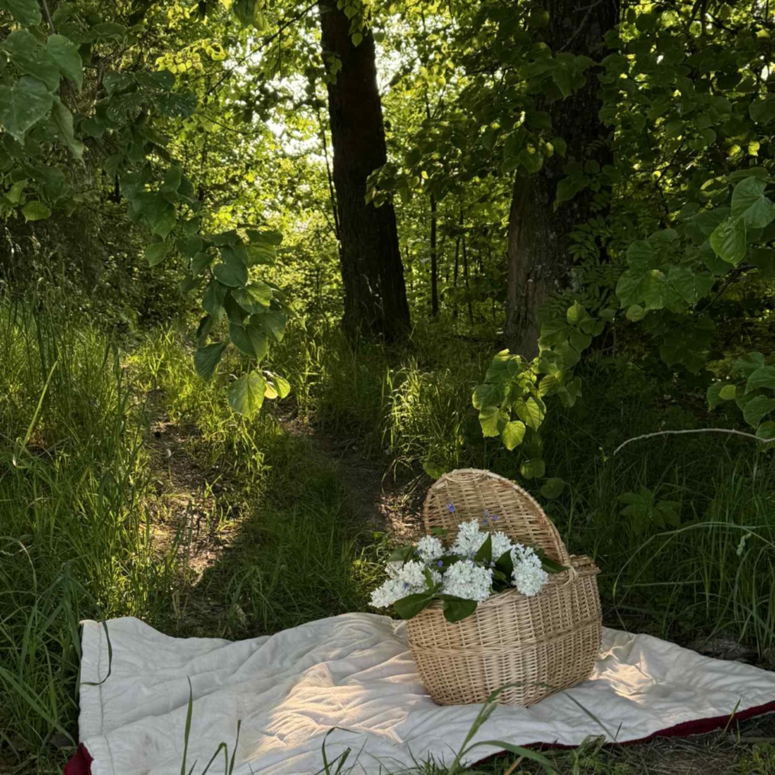 Large Wicker Picnic Basket
