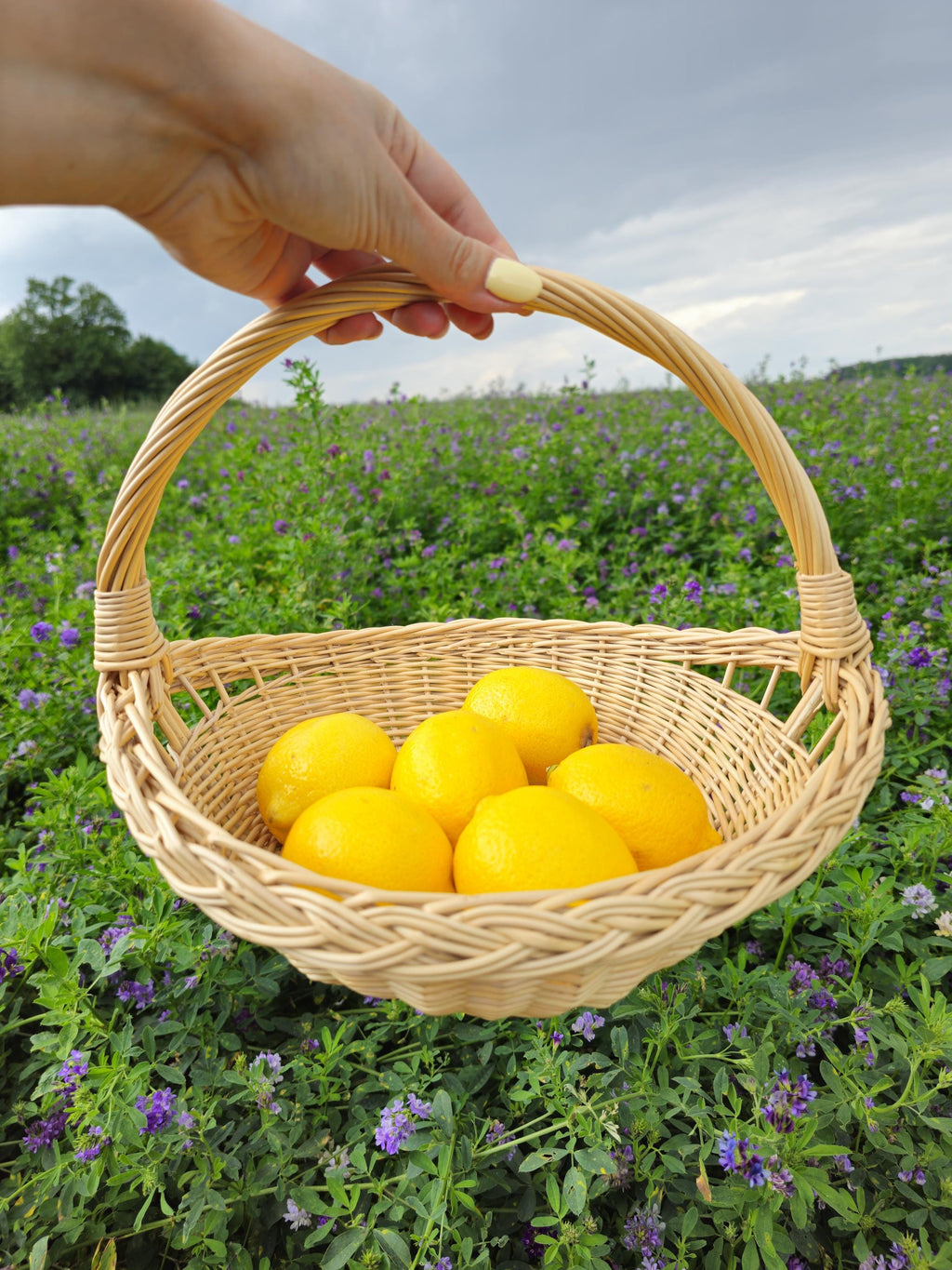 Handwoven Willow Trug Basket