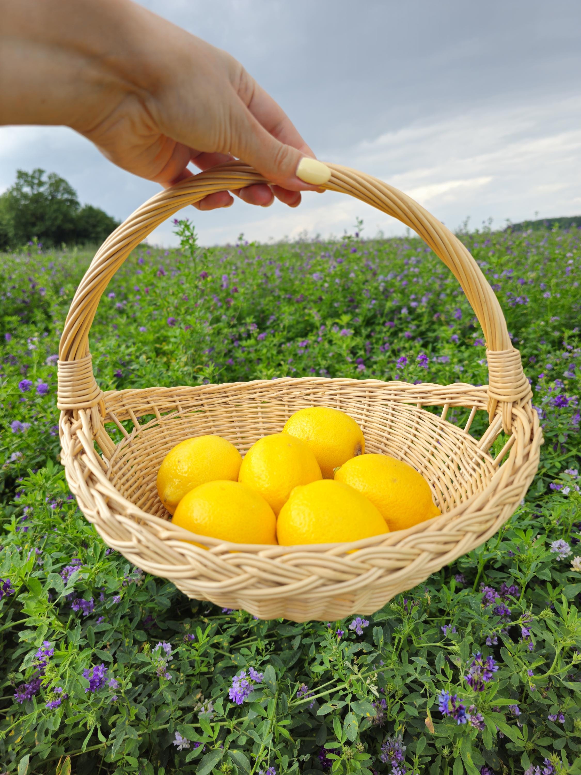 Handwoven Willow Trug Basket