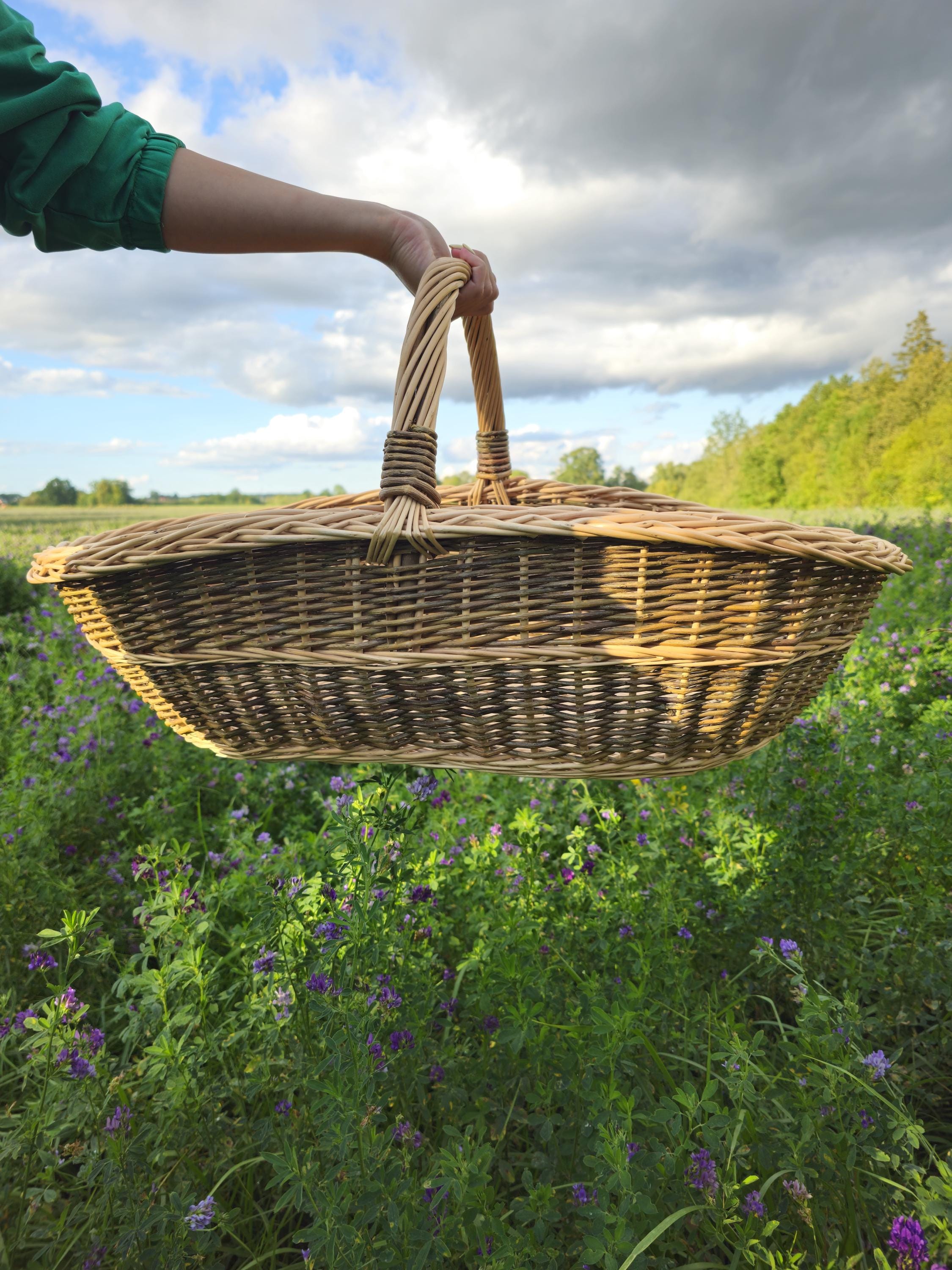 Set of 2 Baskets