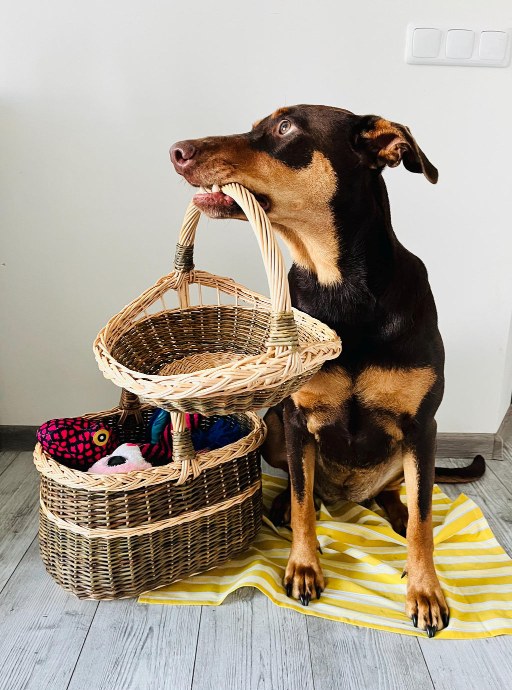 Handmade Wicker Trug Basket