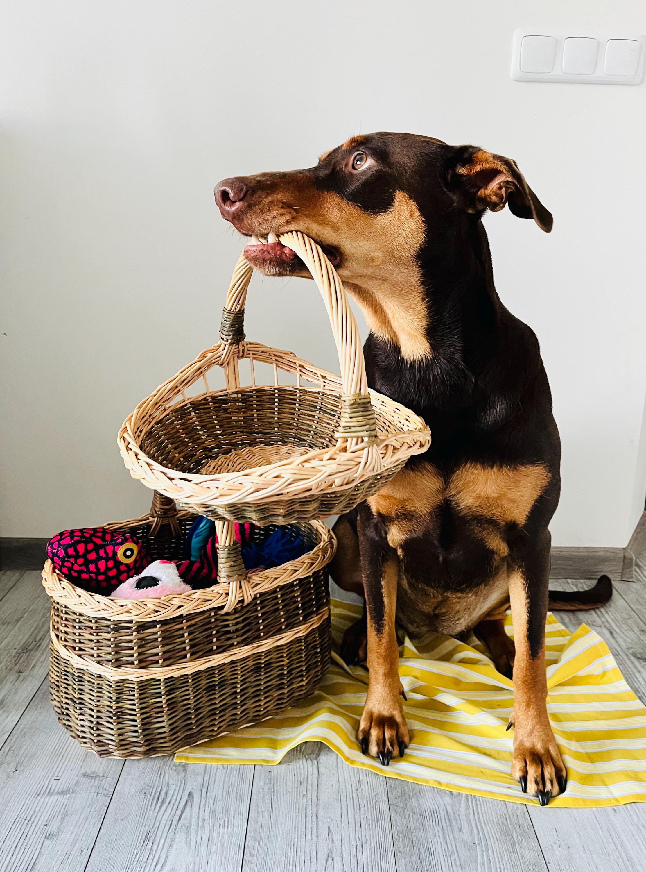 Handmade Wicker Trug Basket