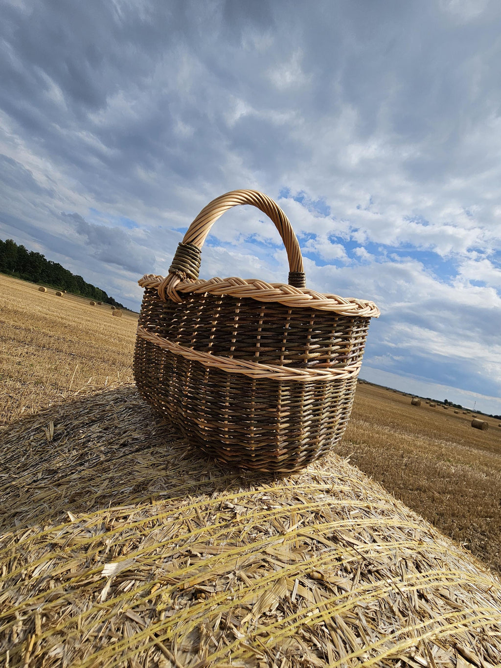 Handmade Wicker Basket with Handle