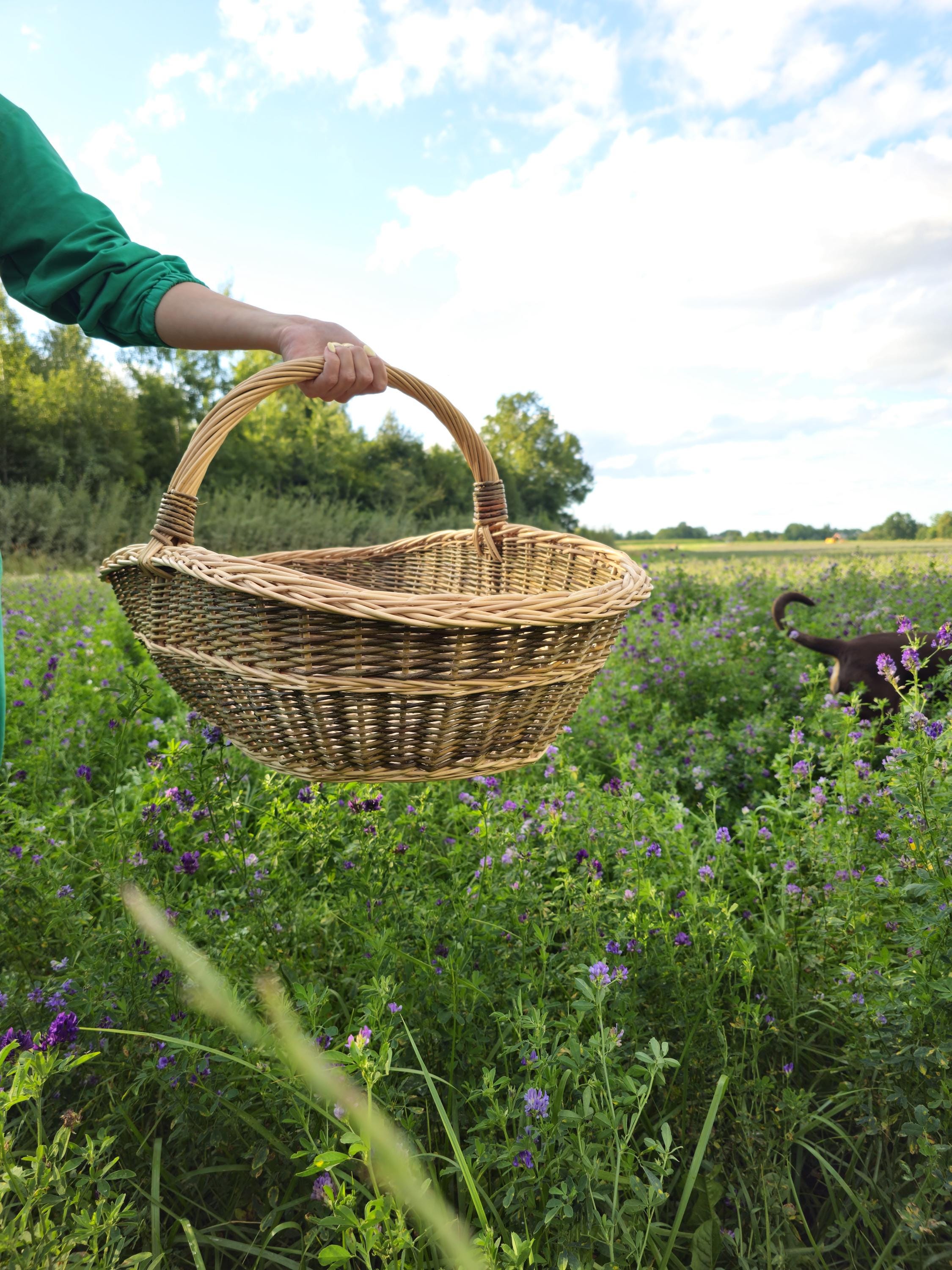 Extra Large Foraging & Rustic Trug Basket