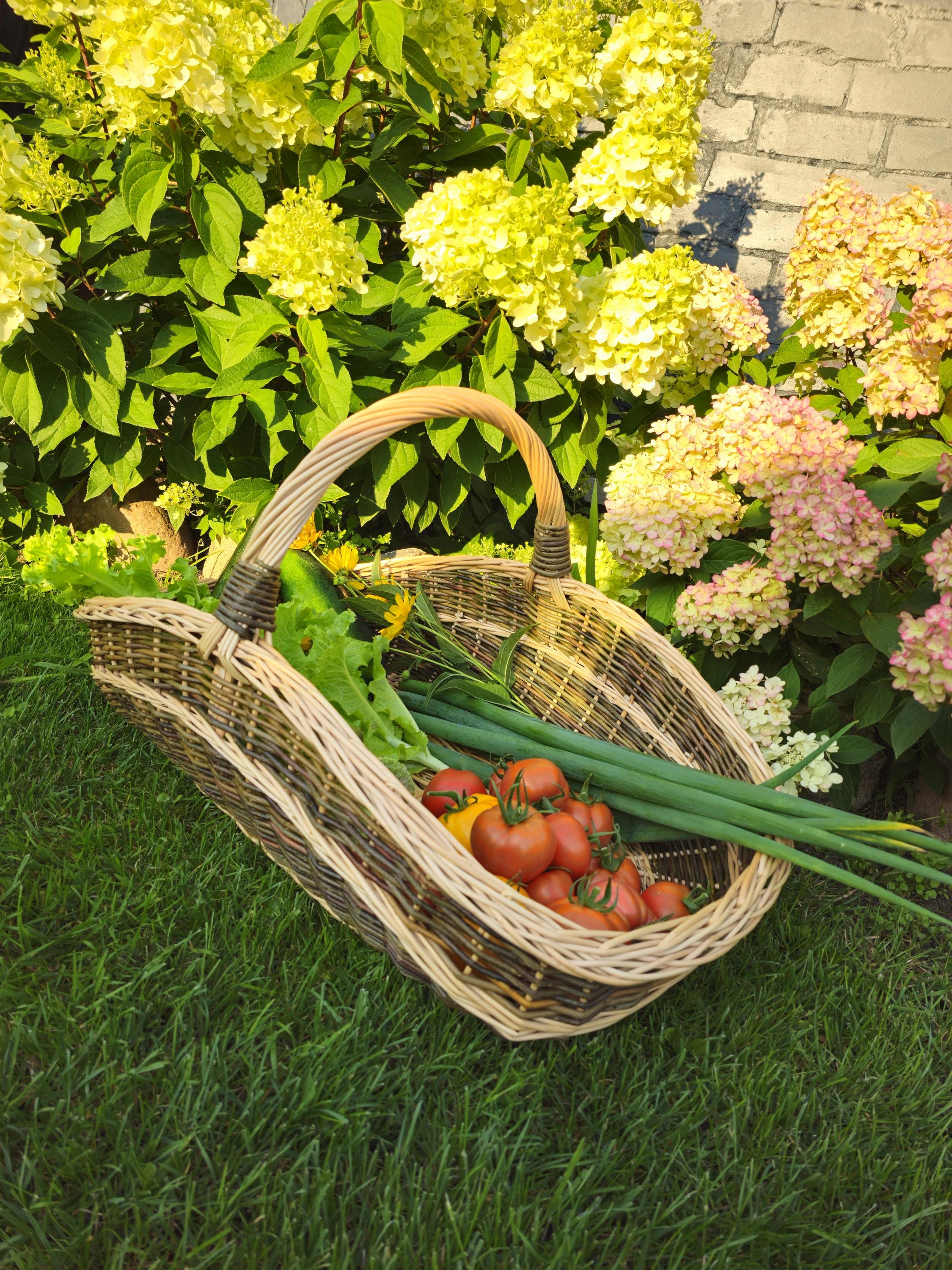 Extra-large Two-Tone Willow Trug for Foraging & Flower Gathering